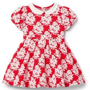 JANIE & JACK NWT ROSE JACQUARD DRESS